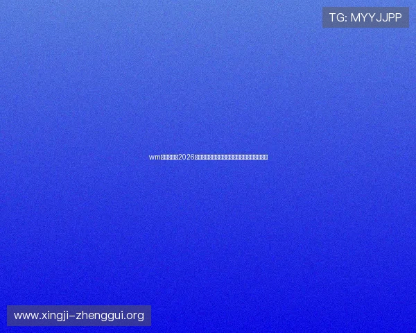 wm完美真人：2026年世界杯最佳球员盘点及其在比赛中的关键贡献
